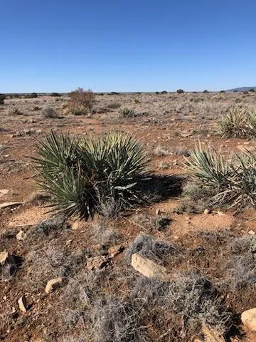 Lot 663 Chevelon Canyon Ranch, Heber, AZ 85928