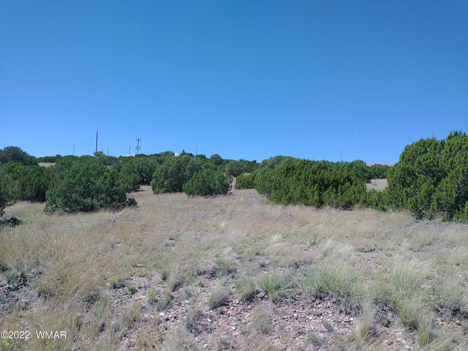 21 Navajo Drive, Concho, AZ 85924 — Photo 1 of 14
