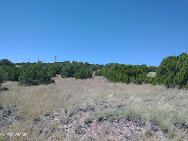 21 Navajo Drive, Concho, AZ 85924