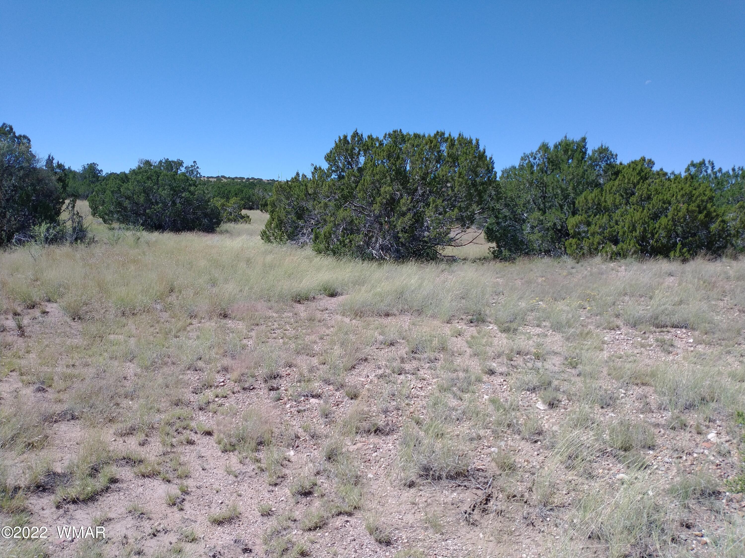 147 Concho Drive, Concho, AZ 85924 — Photo 1 of 8