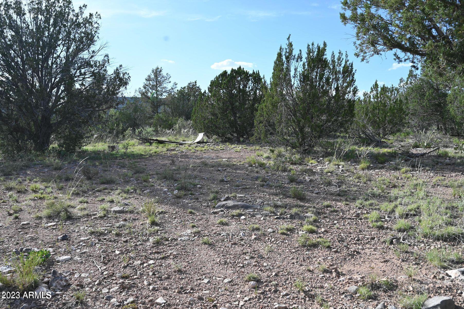 52084 N CALLE CIERVO 2064, Seligman, AZ 86337 — Photo 1 of 8