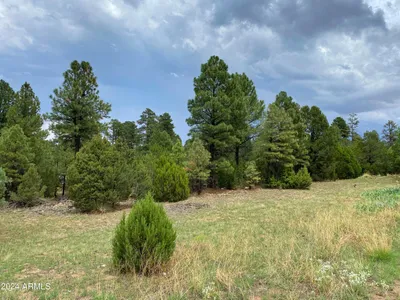 2026 State Route 277, Heber, AZ 85928
