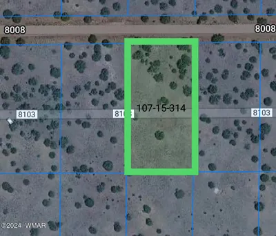 52 Co Road, # 8008, Concho, AZ 85924