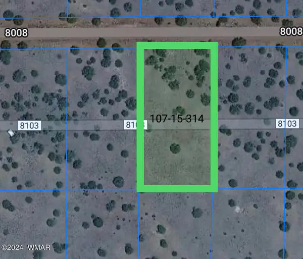 52 Co Road, # 8008, Concho, AZ 85924