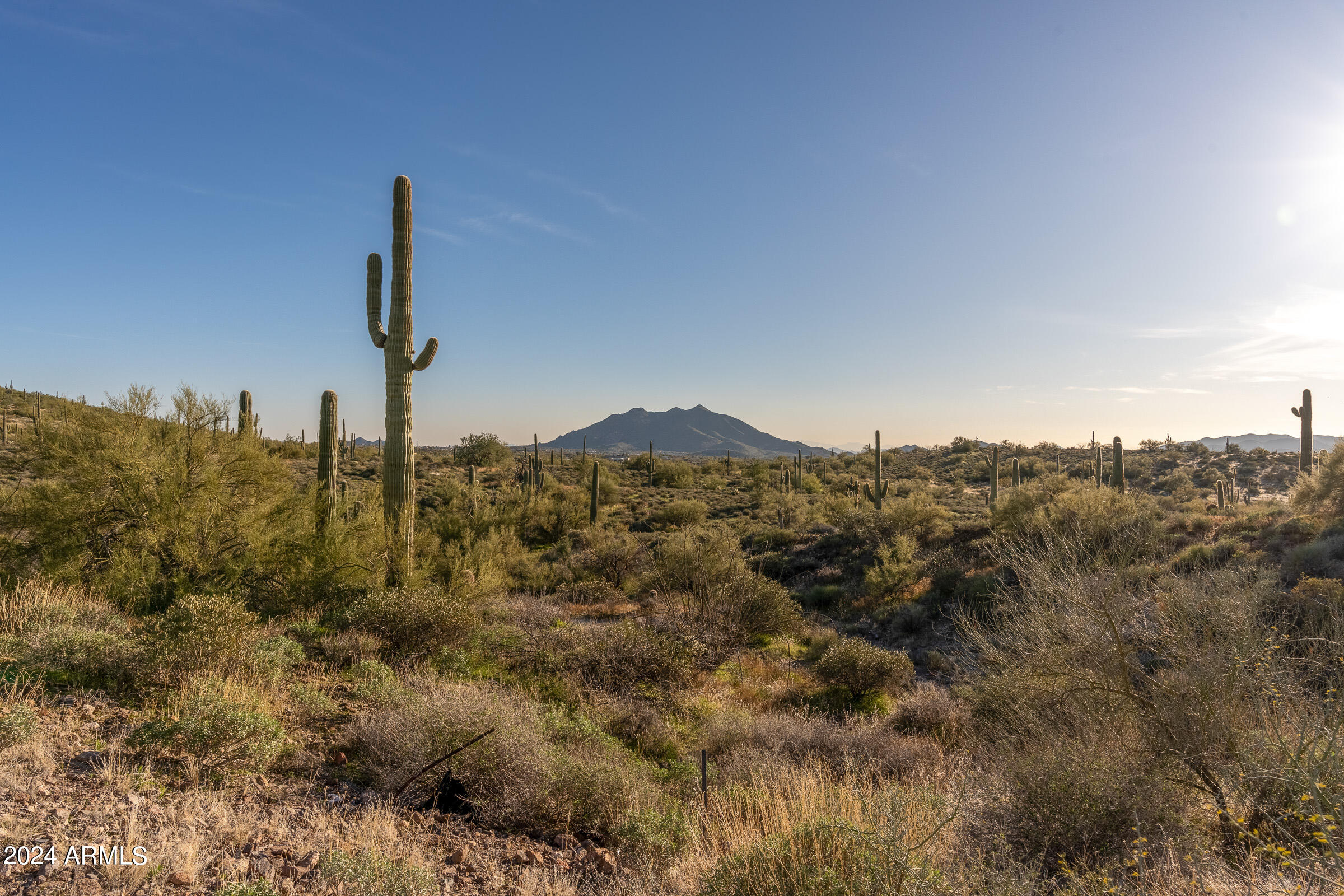 7347 E CONTINENTAL MTN ESTS Drive 9, Cave Creek, AZ 85331 — Photo 1 of 8