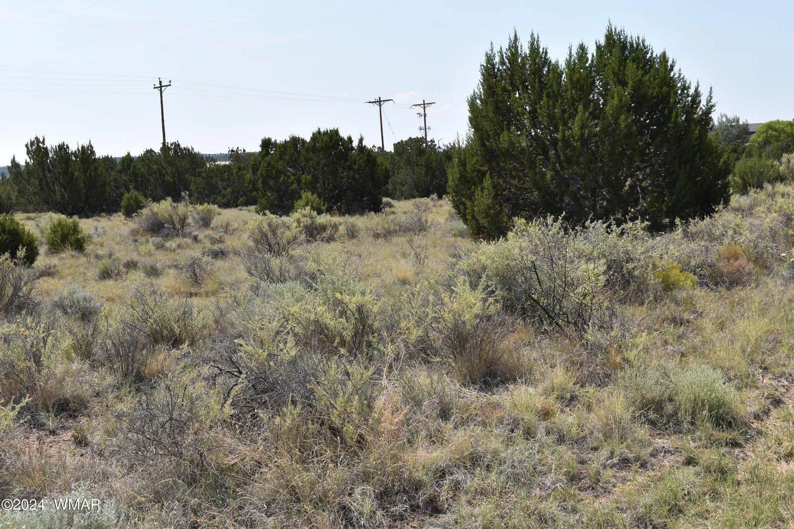 6 Zuni Drive, Concho, AZ 85924 — Photo 1 of 1