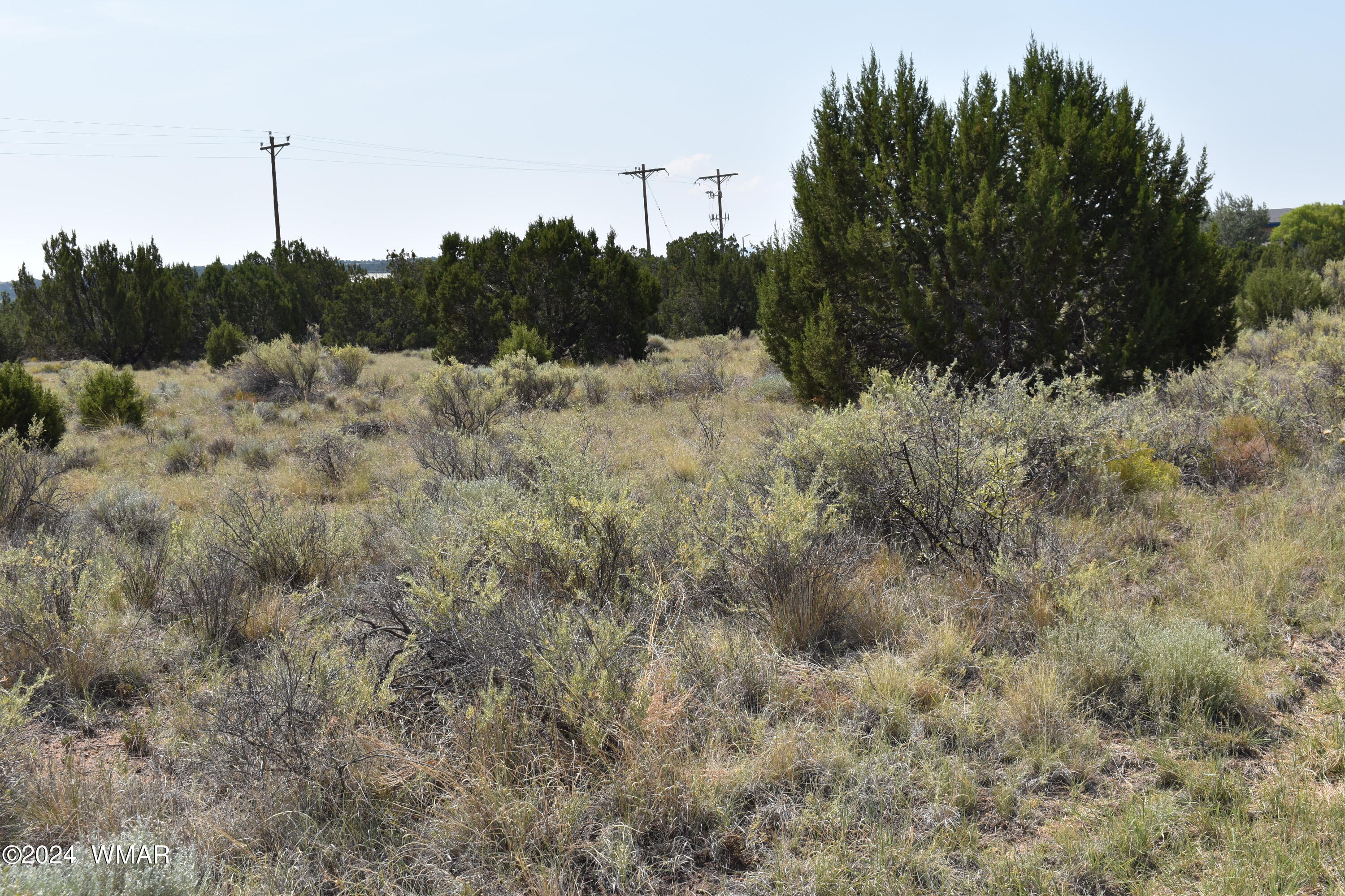 34 Alpine Lane, Concho, AZ 85924 — Photo 1 of 2