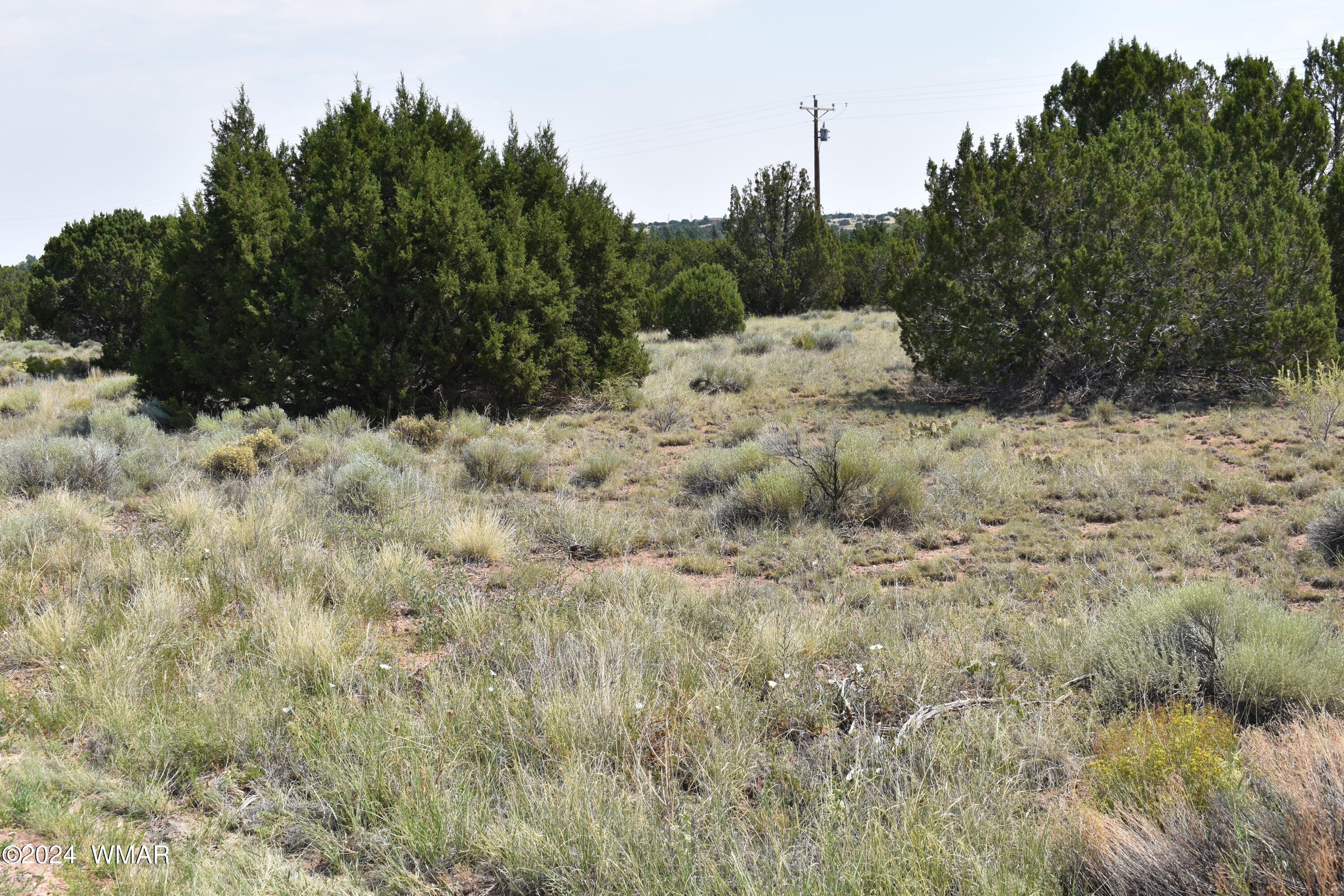 30 Dawn Lane, Concho, AZ 85924