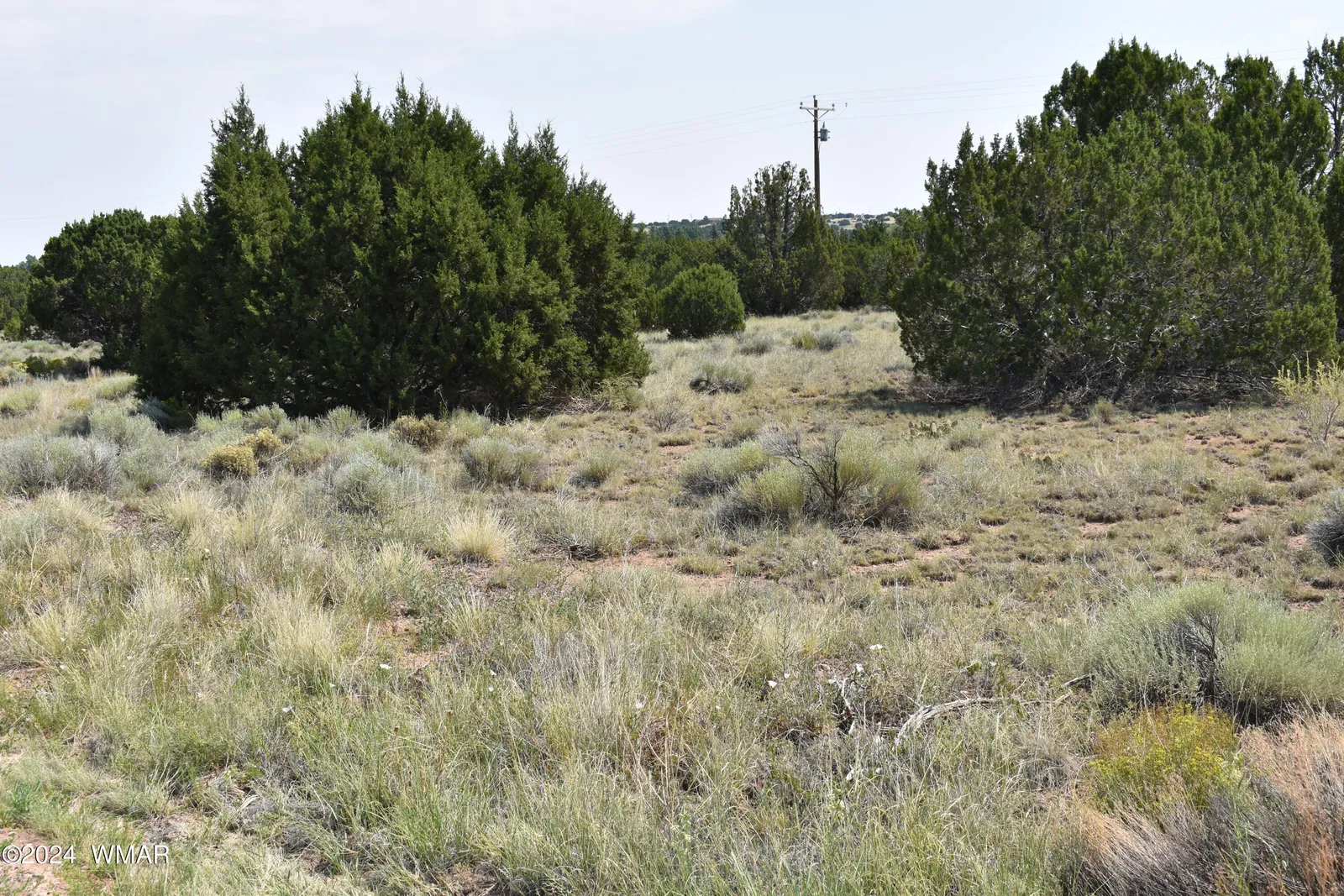 30 Dawn Lane, Concho, AZ 85924 — Photo 1 of 2