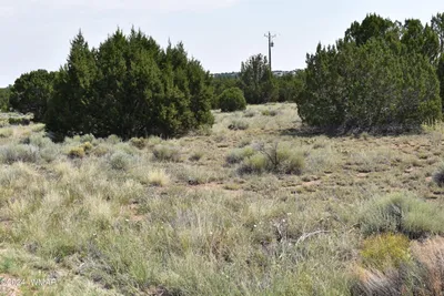 30 Dawn Lane, Concho, AZ 85924