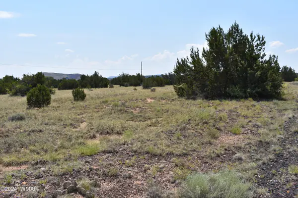 41 Dawn Lane, Concho, AZ 85924