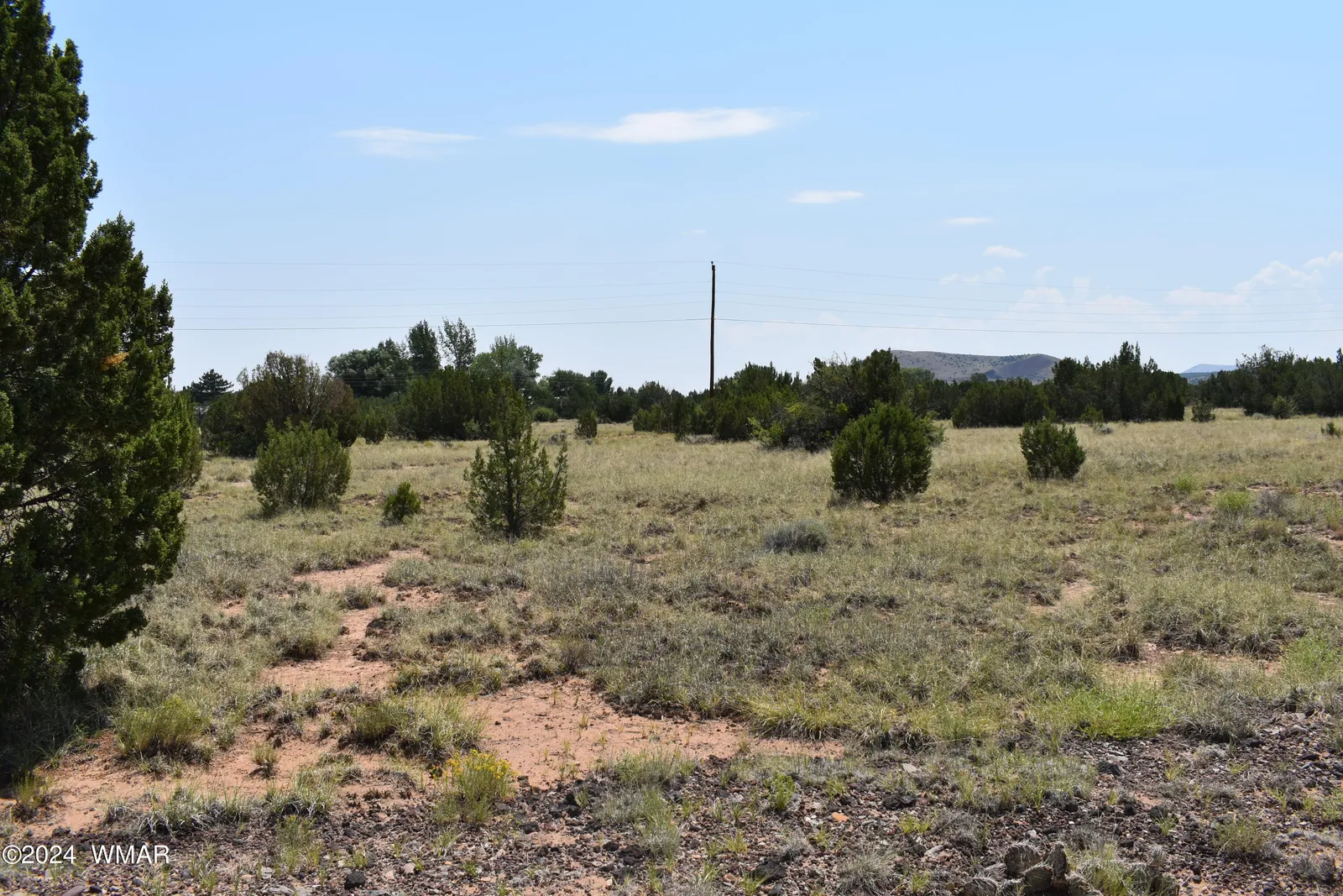 74 Evergreen Lane, Concho, AZ 85924 — Photo 1 of 2