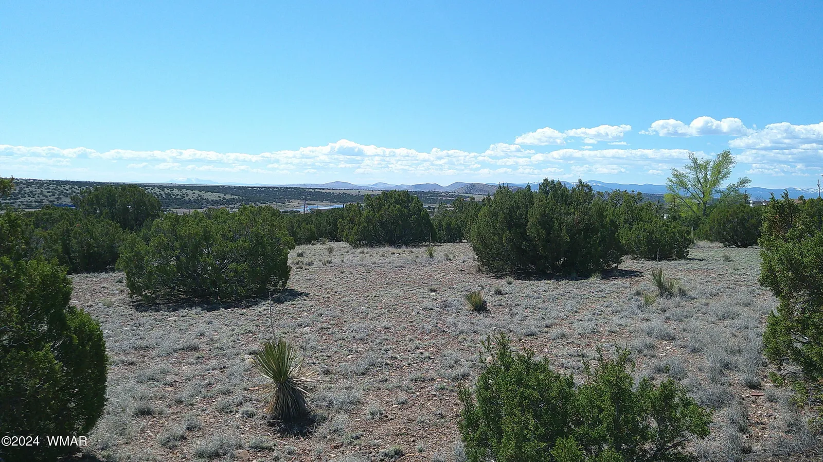 1 Concho Valley, Concho, AZ 85924 — Photo 1 of 35