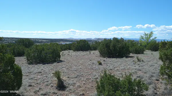 1 Concho Valley, Concho, AZ 85924
