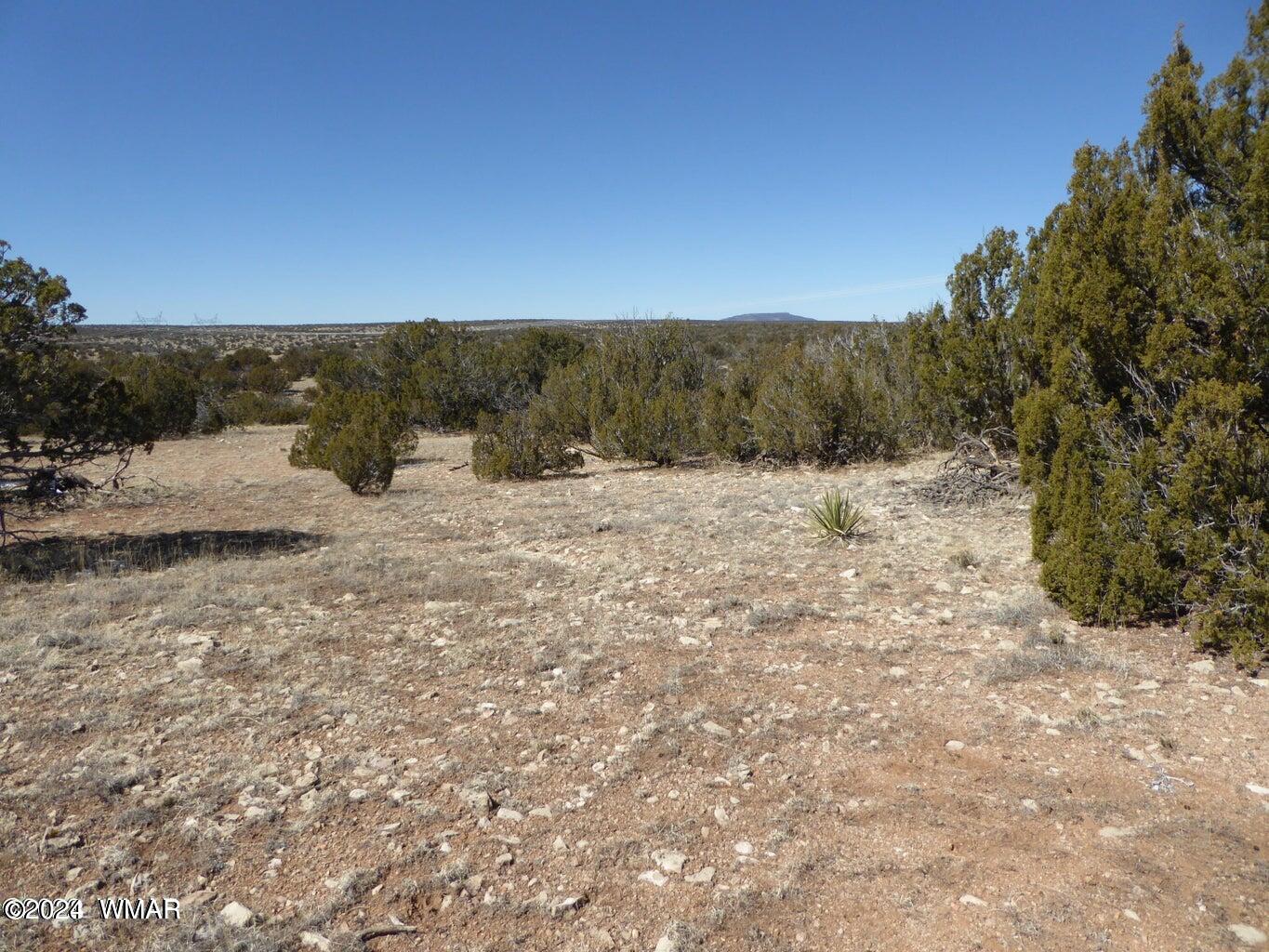 Sec 12 T14N R16E: SW4 SE4, Heber, AZ 85928 — Photo 1 of 2