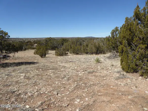 Sec 12 T14N R16E: SW4 SE4, Heber, AZ 85928