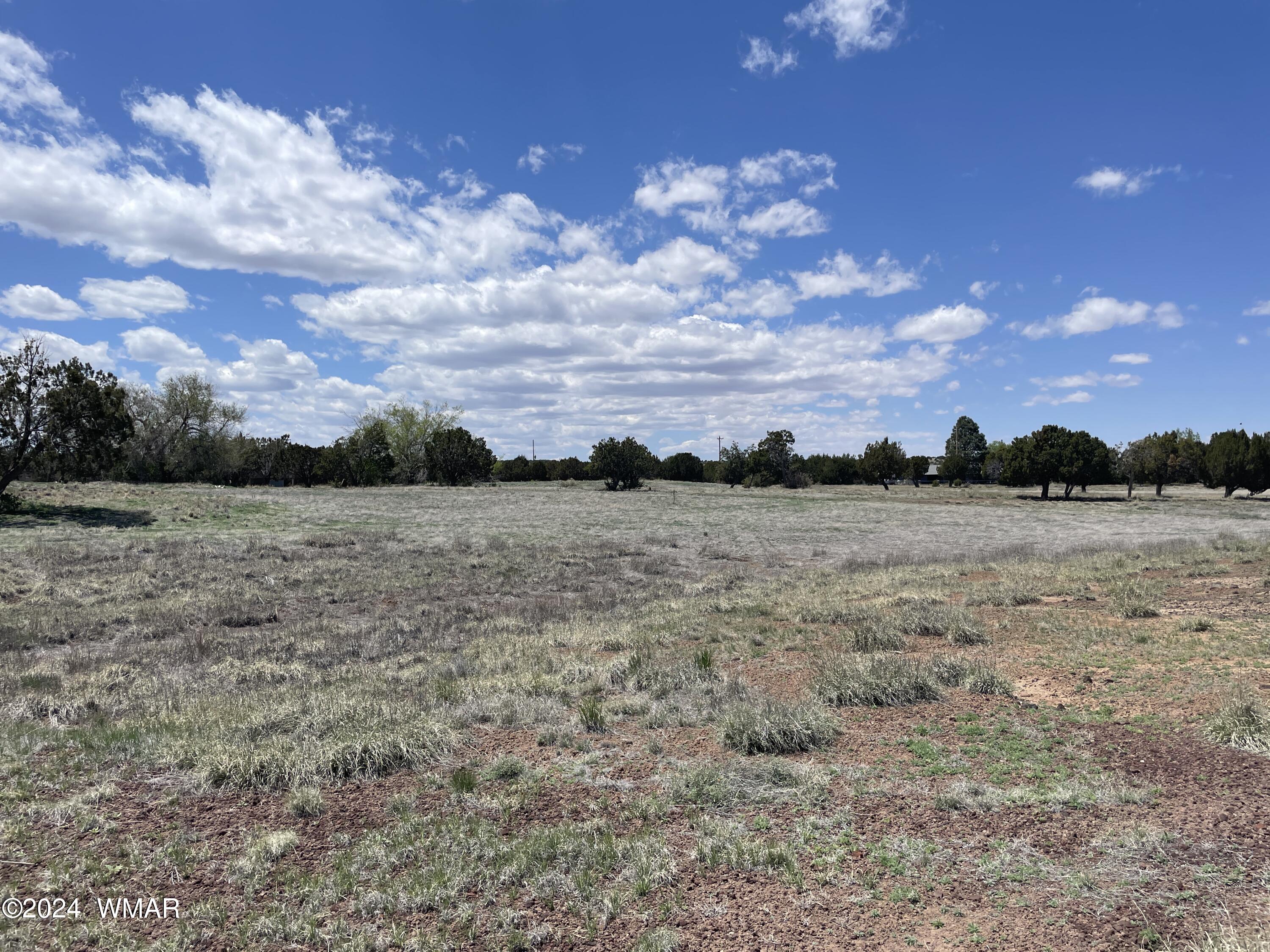18 Pate Lane, Concho, AZ 85924 — Photo 1 of 29