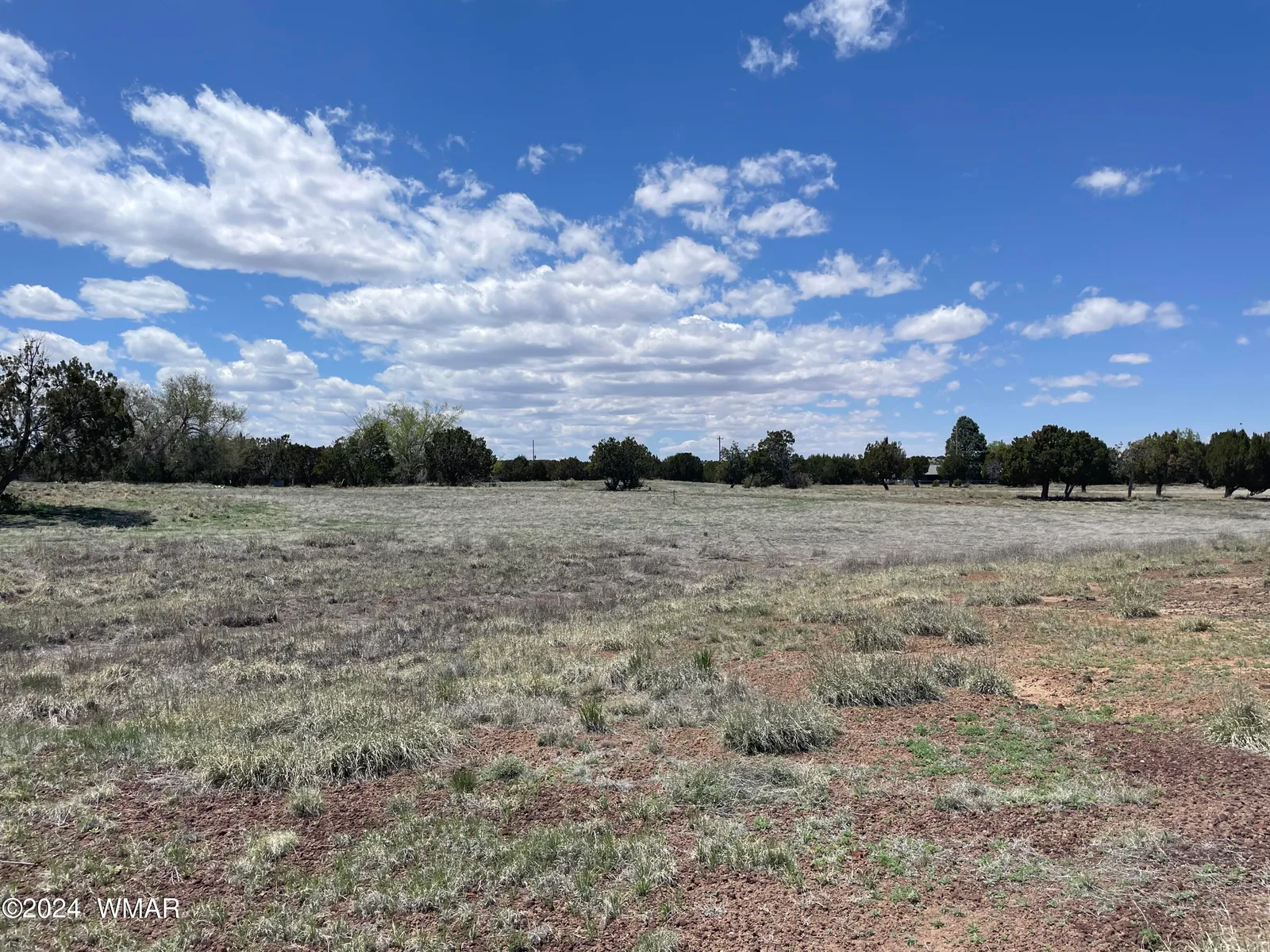 18 Pate Lane, Concho, AZ 85924 — Photo 1 of 29