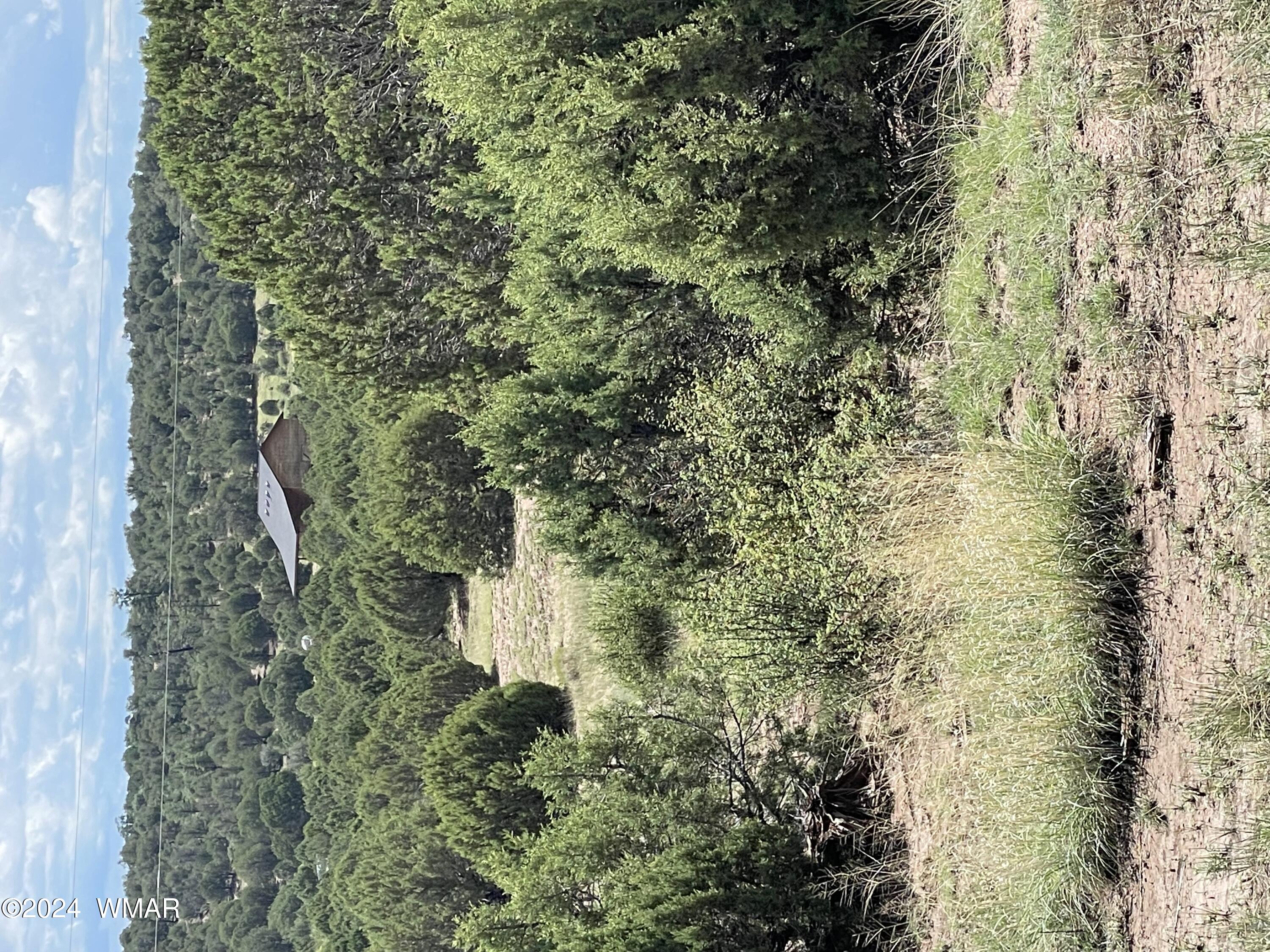 6565 Natures Way, Burton, AZ 85934 — Photo 1 of 12