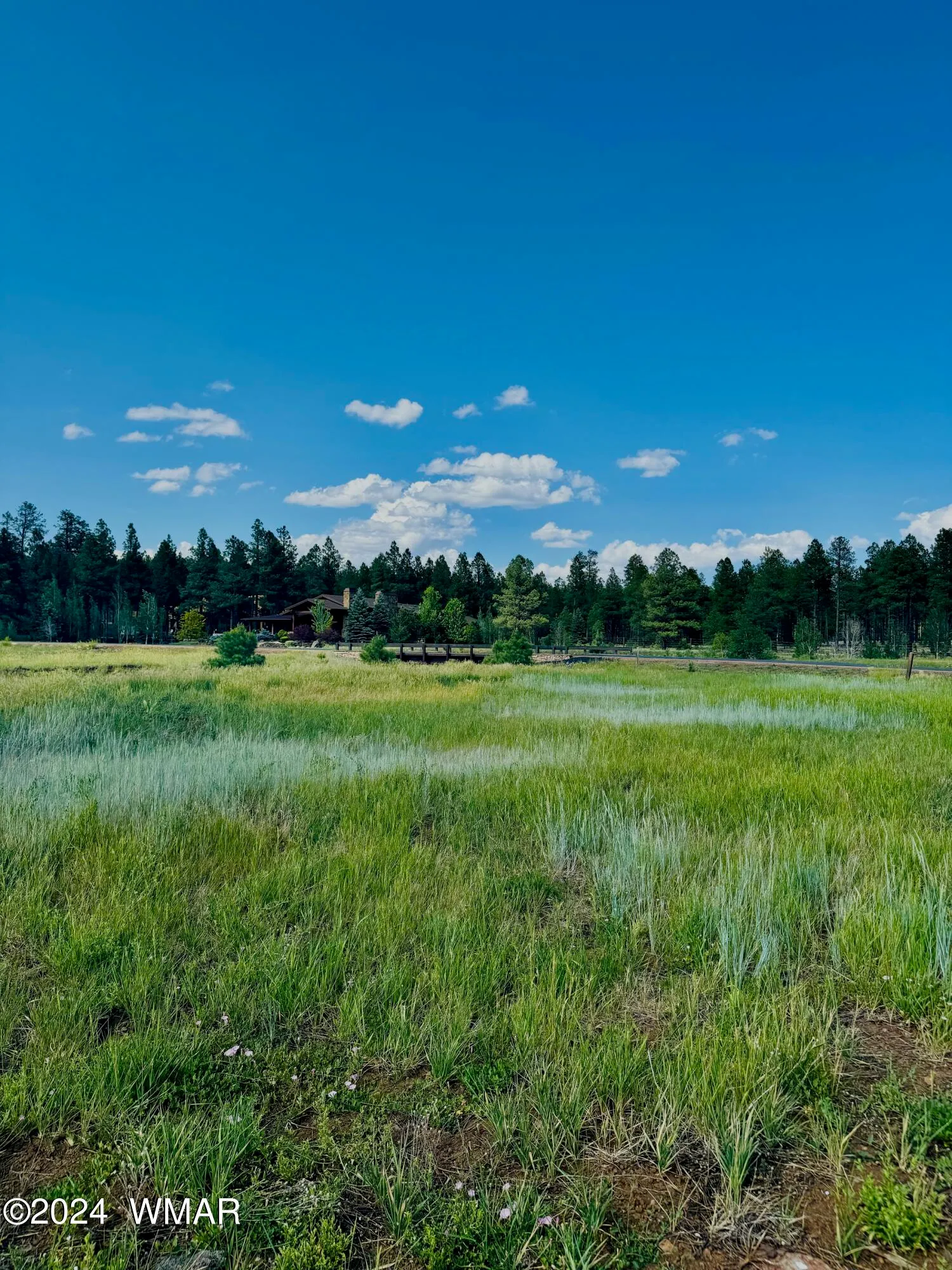 9580 Sierra Springs Drive, Pinetop, AZ 85935 — Photo 1 of 20