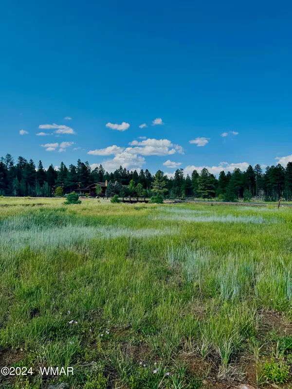 9580 Sierra Springs Drive, Pinetop, AZ 85935
