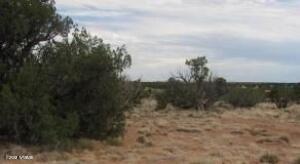 Sec 19 Sec.19 T15N, R16E, Heber, AZ 85928