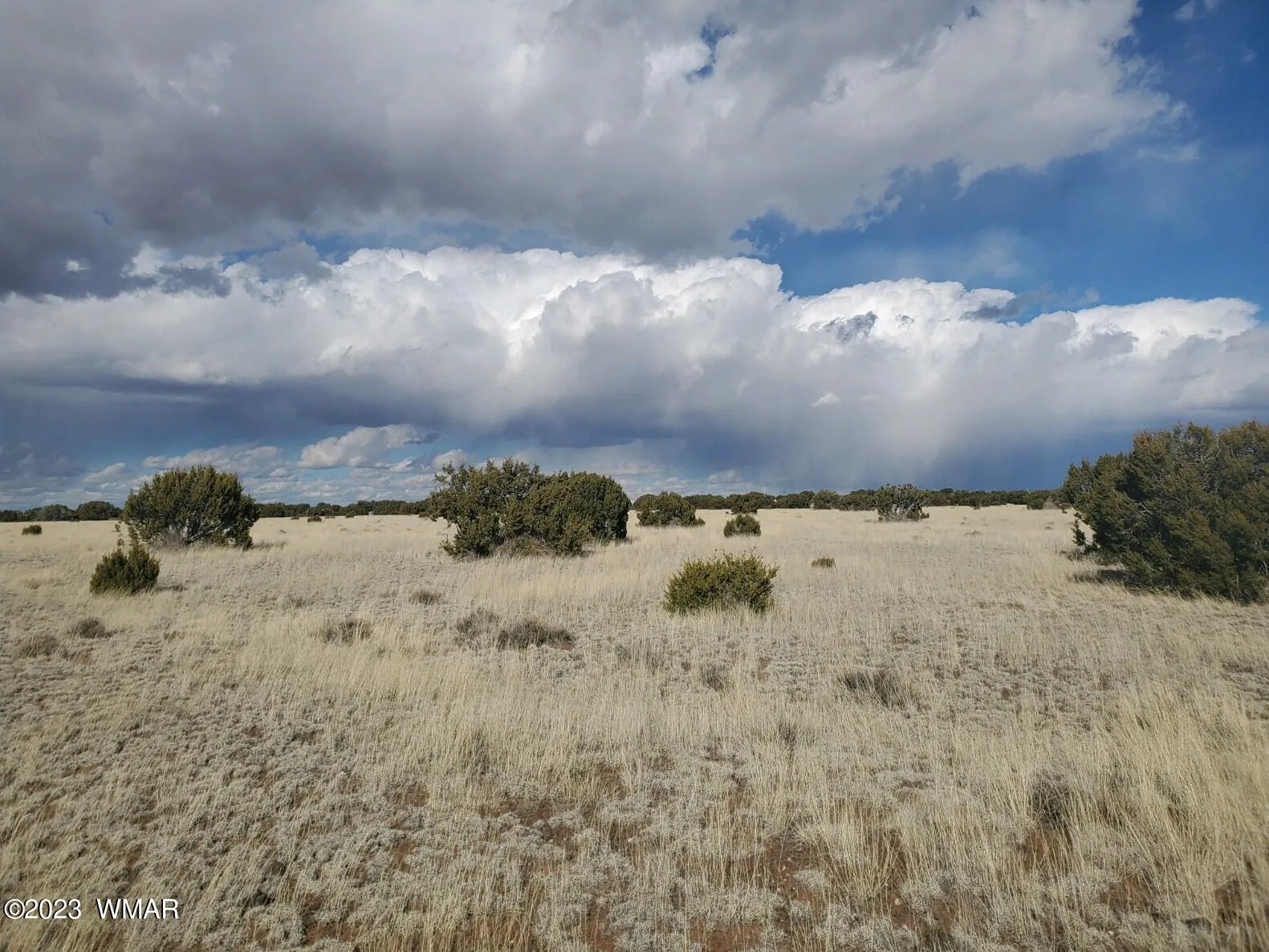 TBD CR 5110, Concho, AZ 85924 — Photo 1 of 4