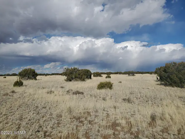 TBD CR 5110, Concho, AZ 85924