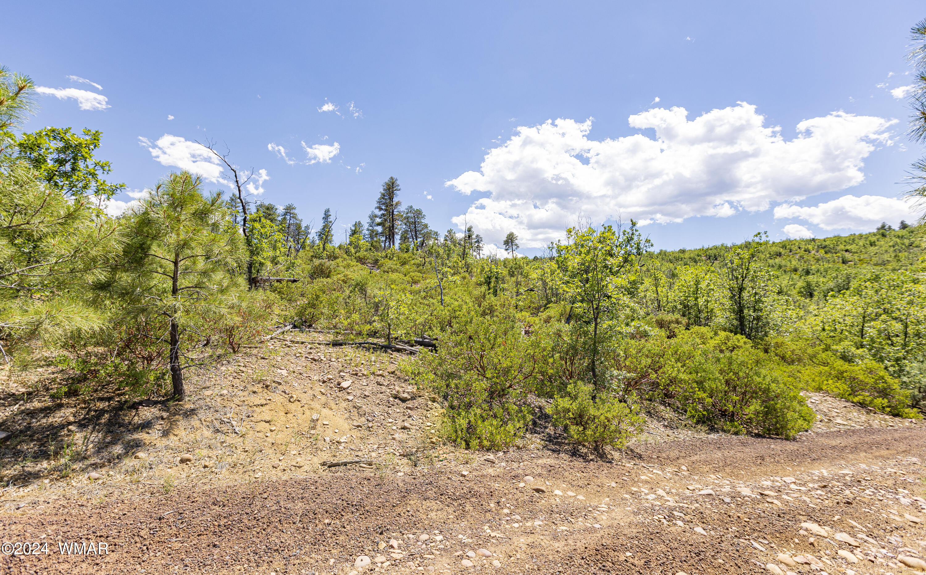 TBD Fieldy Road 14.03 Acres, Show Low, AZ 85901
