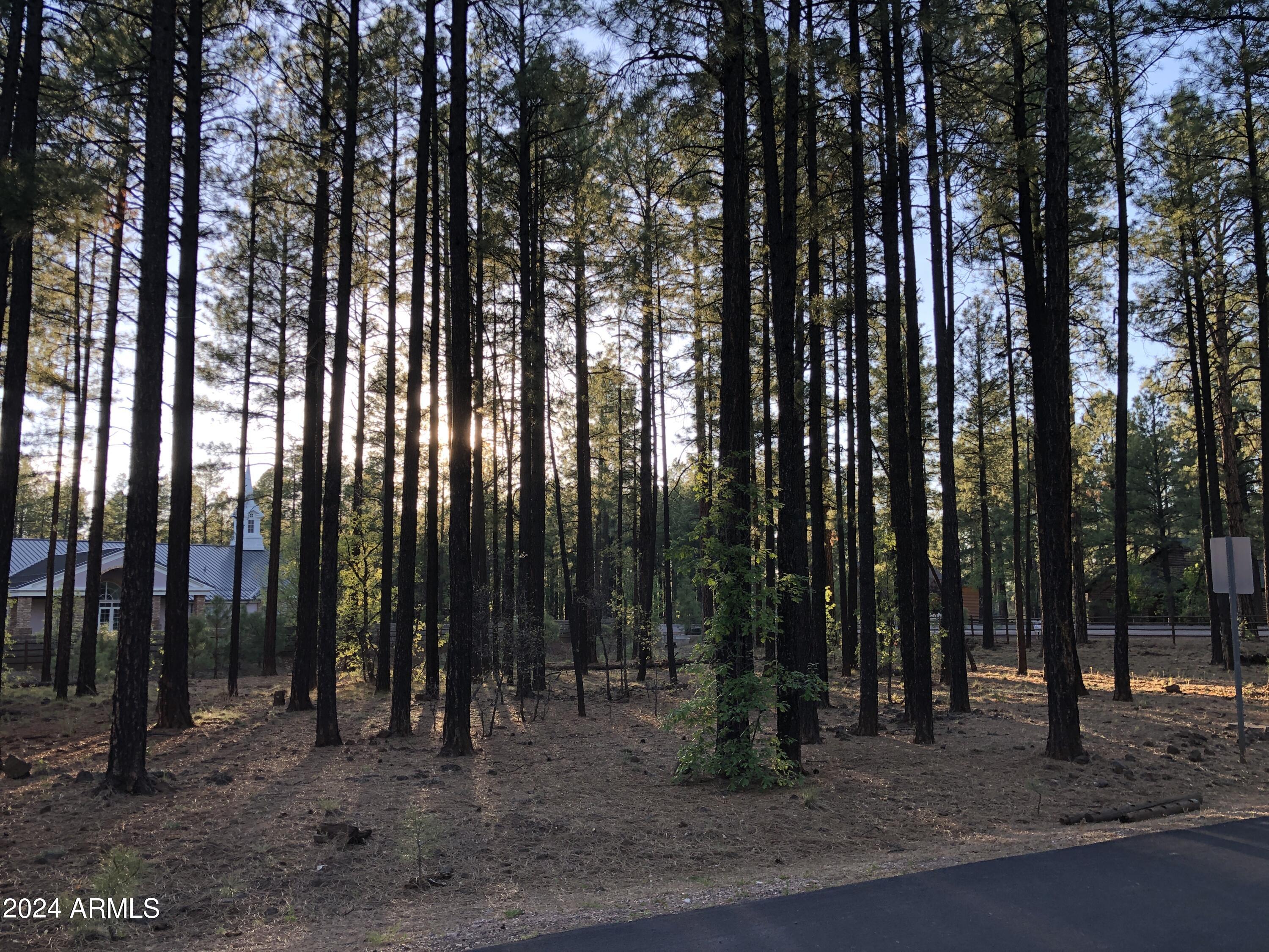 2504 TIMBER RIDGE Lane 1, Pinetop, AZ 85935 — Photo 1 of 5