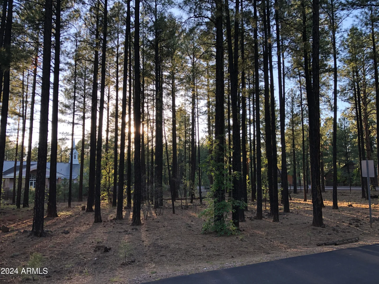 2504 TIMBER RIDGE Lane 1, Pinetop, AZ 85935 — Photo 1 of 5