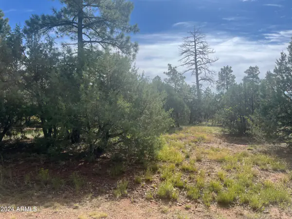 5455 RED SQUIRREL Lane 54, Lakeside, AZ 85929