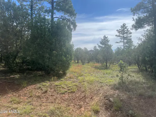 5481 RED SQUIRREL Lane 55, Lakeside, AZ 85929
