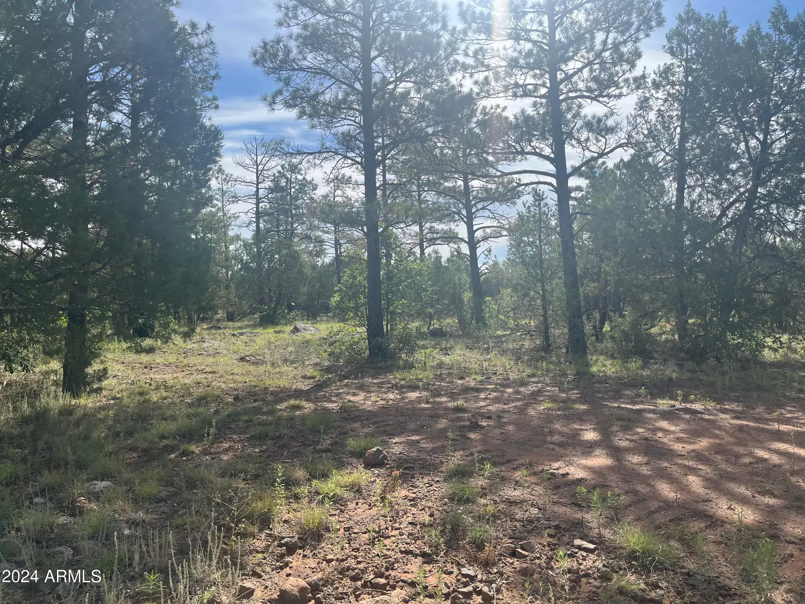 5509 RED SQUIRREL Lane 58, Lakeside, AZ 85929 — Photo 1 of 5