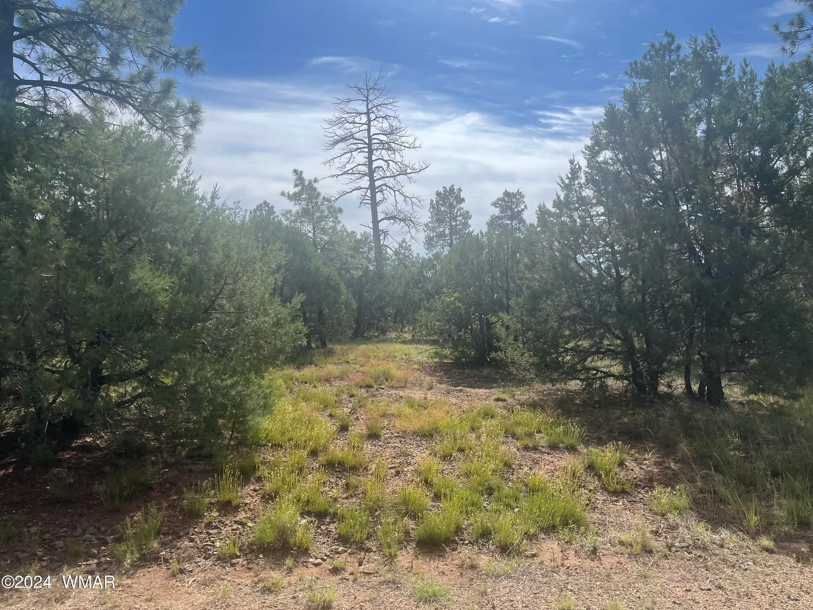 5455 Red Squirrel Lane, Lakeside, AZ 85929 — Photo 1 of 5