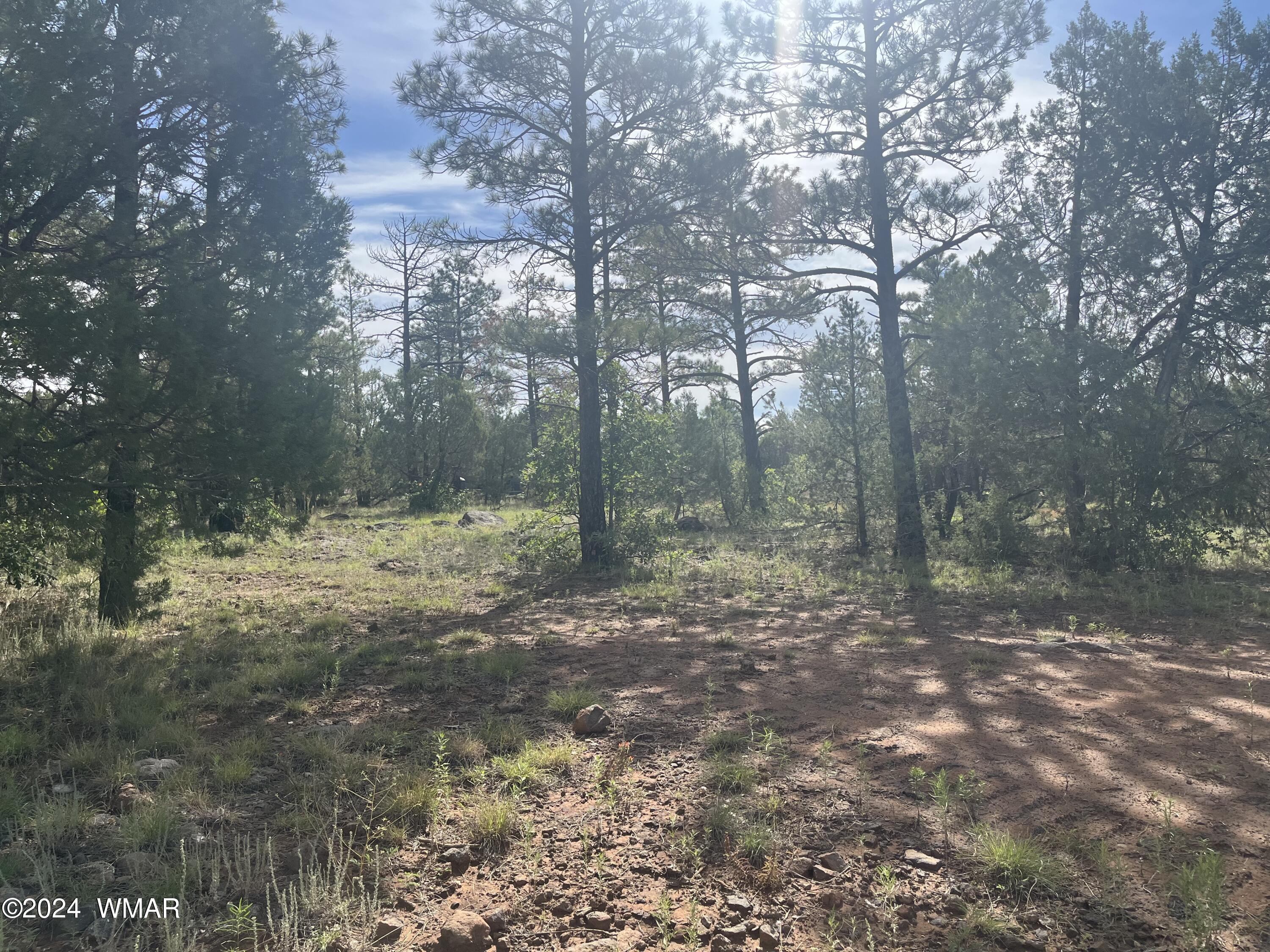 5509 Red Squirrel Lane, Lakeside, AZ 85929