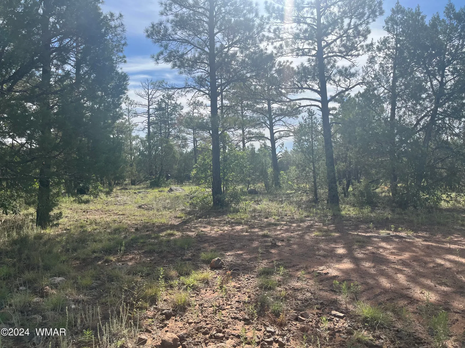 5509 Red Squirrel Lane, Lakeside, AZ 85929 — Photo 1 of 5