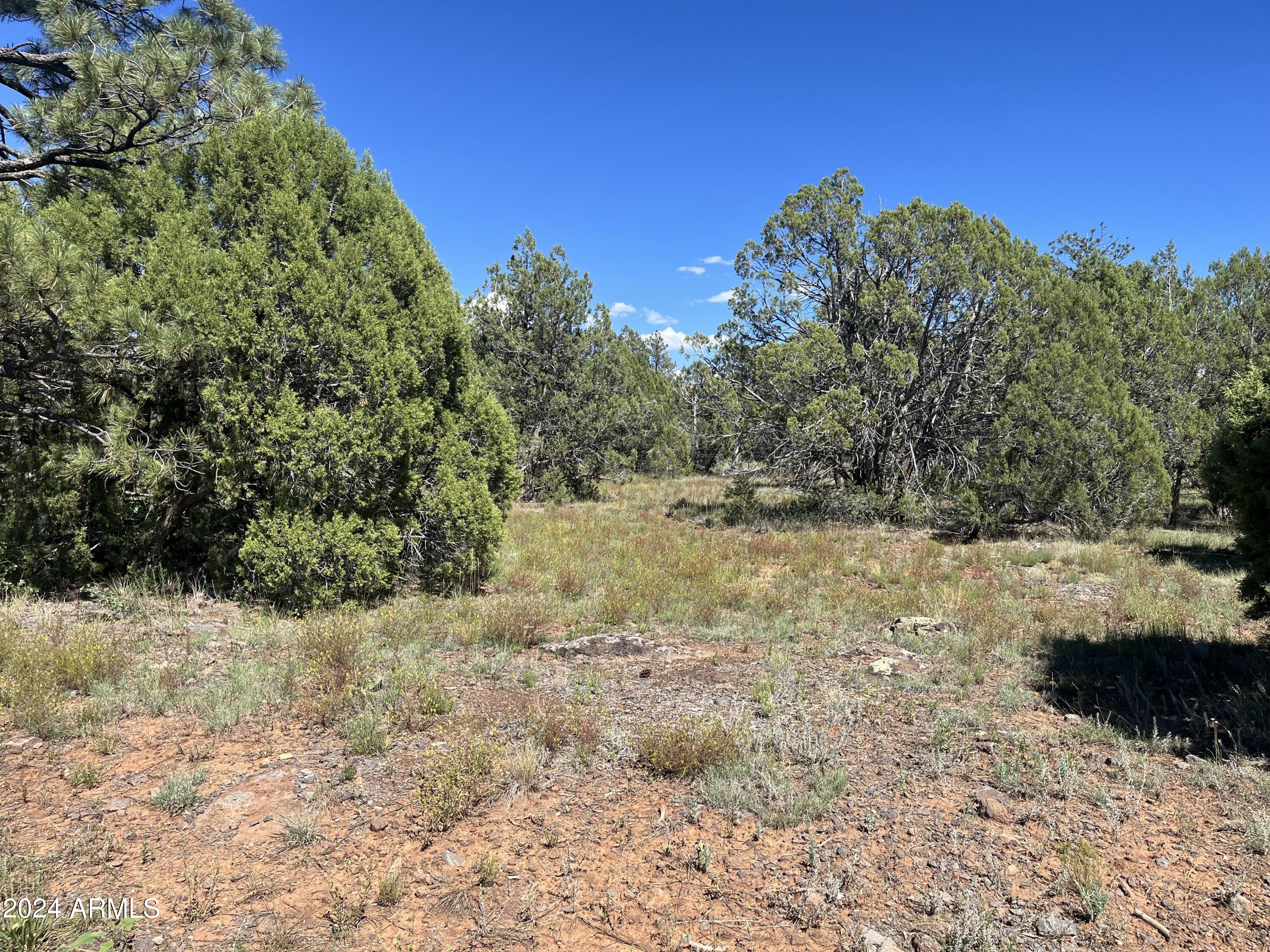 5541 GRAY WOLF Drive 43, Lakeside, AZ 85929 — Photo 1 of 5