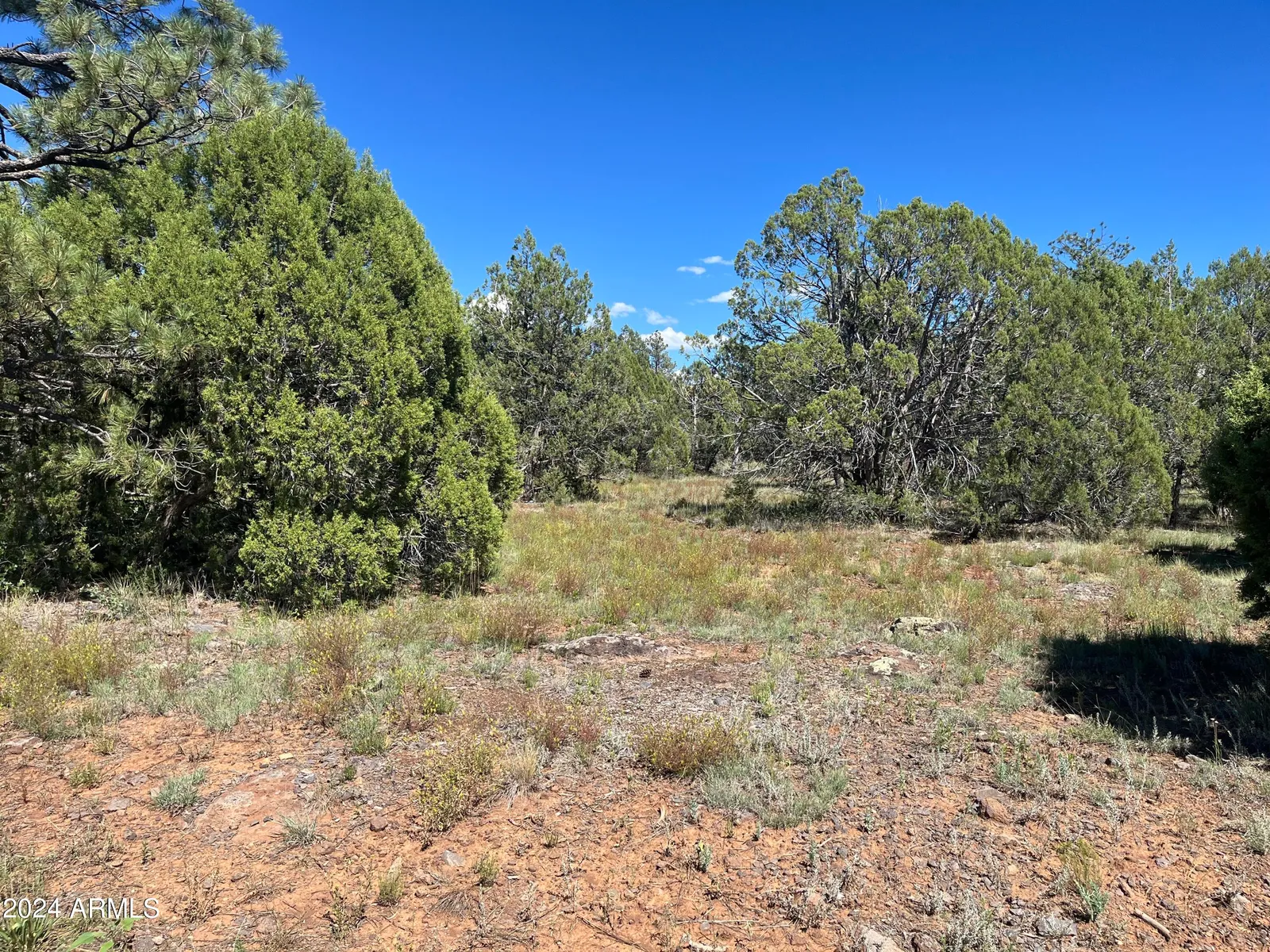 5541 GRAY WOLF Drive 43, Lakeside, AZ 85929 — Photo 1 of 5