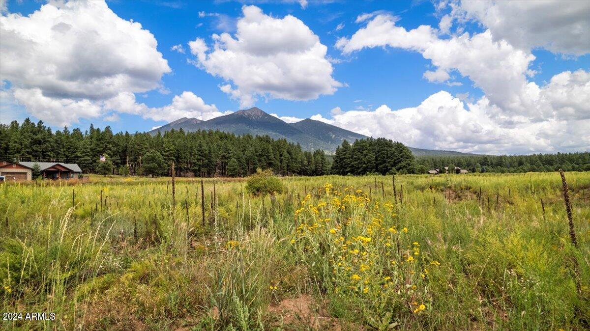 9290 RANCH AT THE PEAKS Way 12, Flagstaff, AZ 86001 — Photo 1 of 26