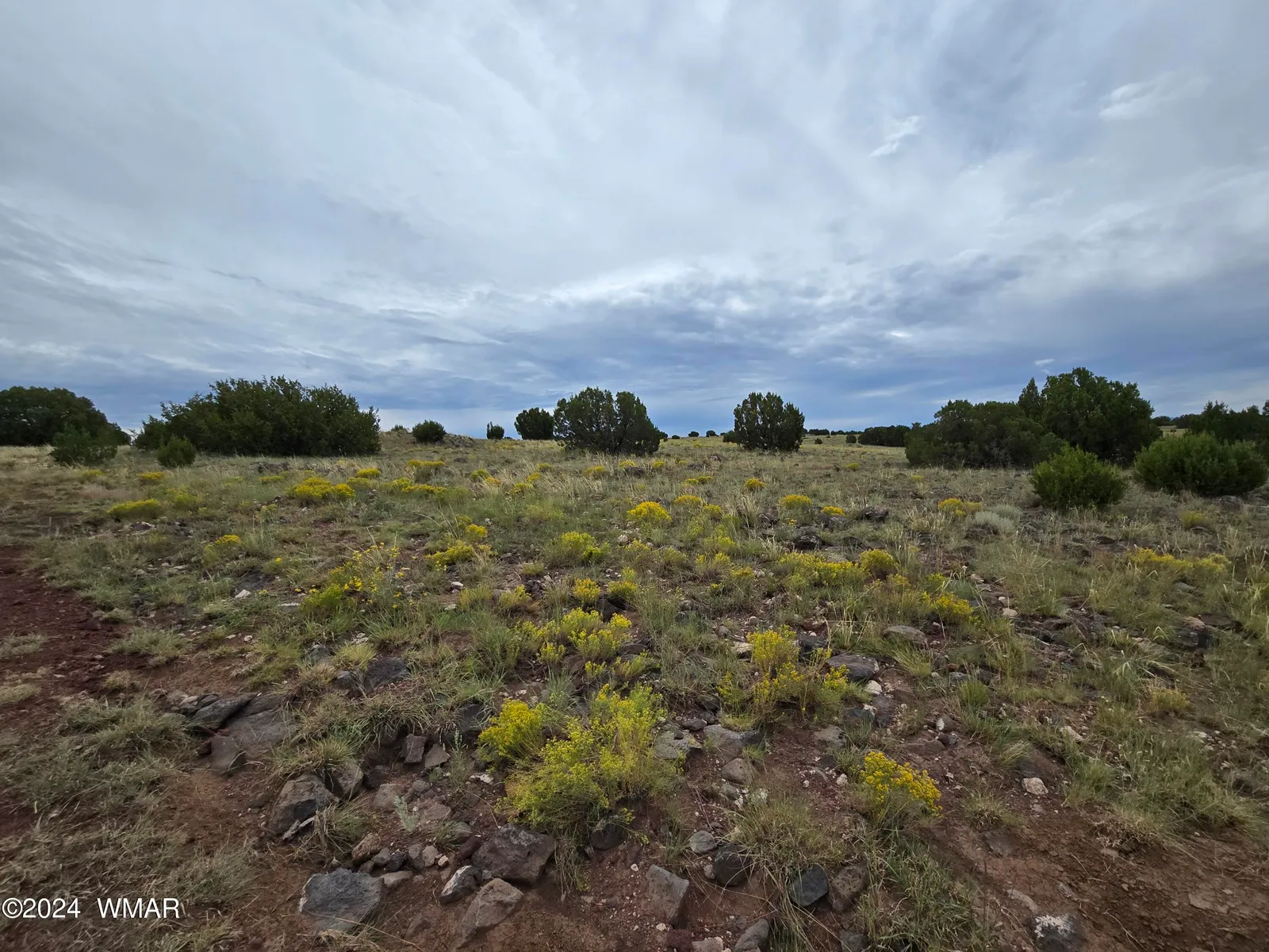 TBD CR 5151, Concho, AZ 85924 — Photo 1 of 8