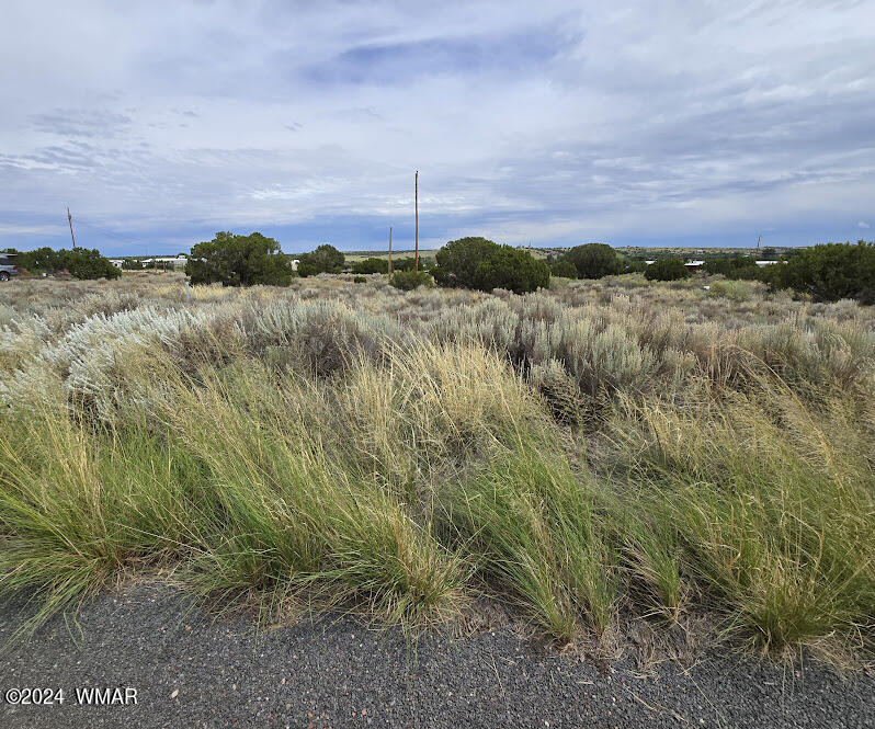 74 Alpine Lane, (5056), Concho, AZ 85924 — Photo 1 of 7