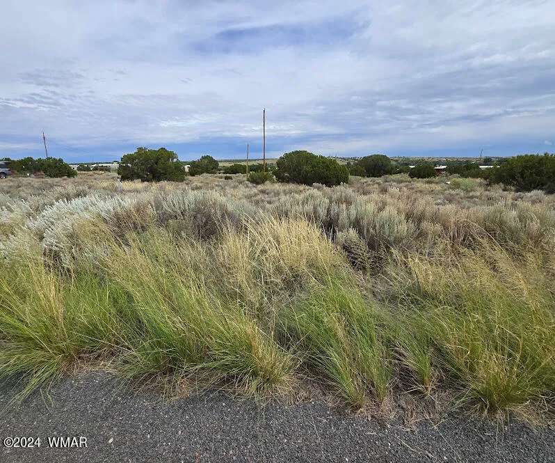 74 Alpine Lane, (5056), Concho, AZ 85924 — Photo 1 of 7