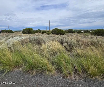 74 Alpine Lane, (5056), Concho, AZ 85924