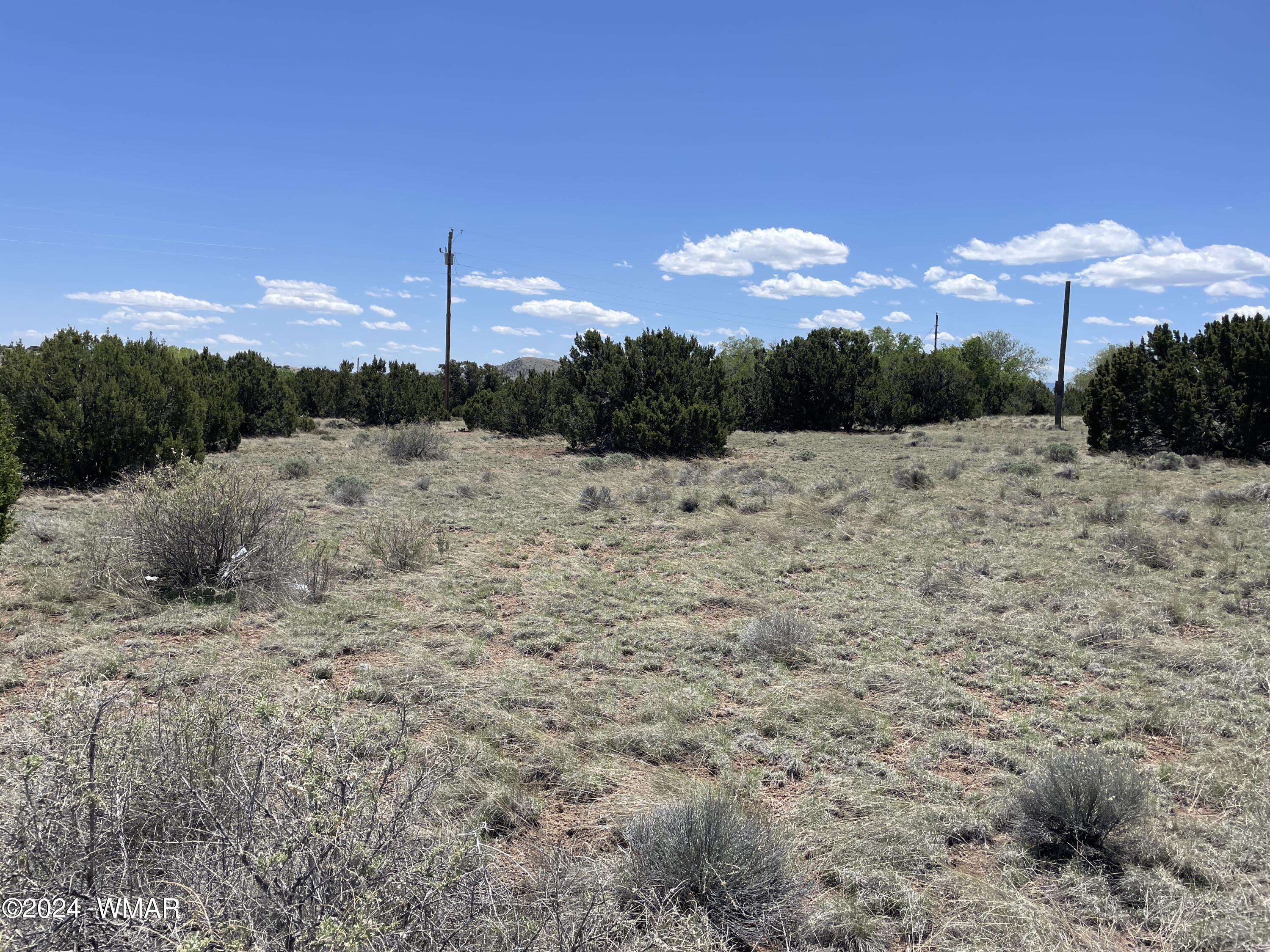 66 Dawn Lane, Concho, AZ 85924