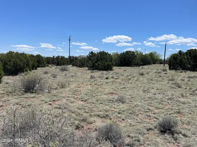 66 Dawn Lane, Concho, AZ 85924