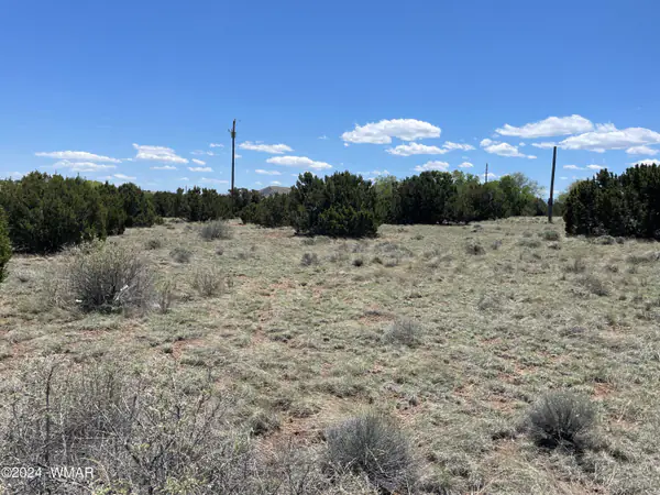 66 Dawn Lane, Concho, AZ 85924