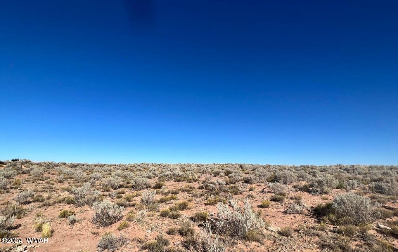 TBD CR 7111, St. Johns, AZ 85936