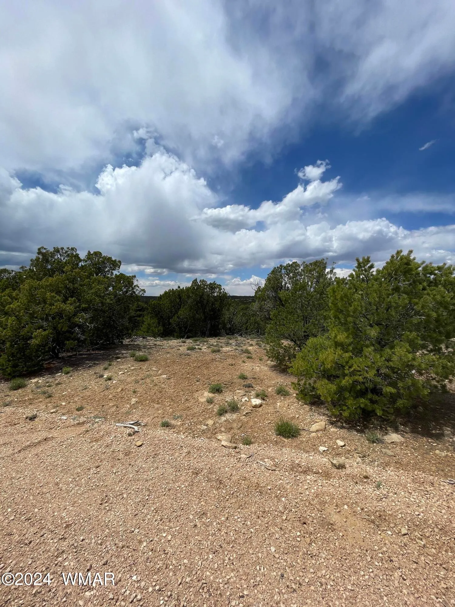 9 County Road 3045, Concho, AZ 85924 — Photo 1 of 14