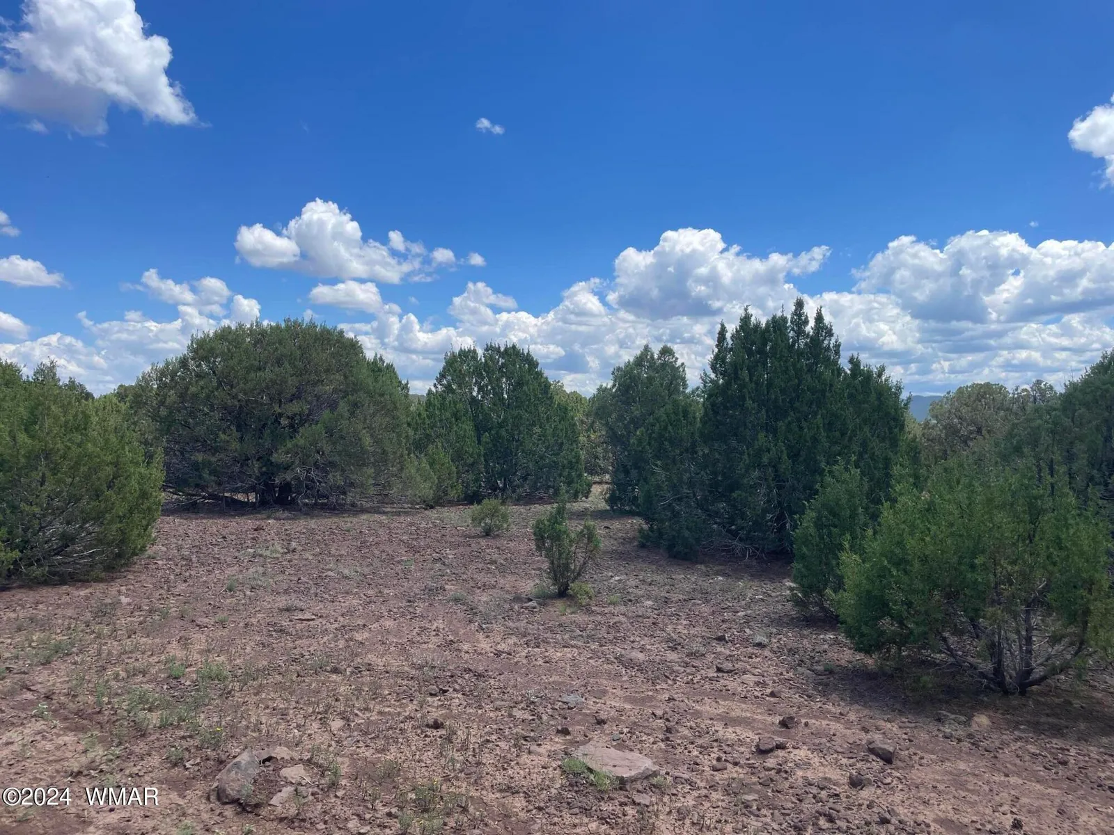 4 County Road 3331, Vernon, AZ 85940 — Photo 1 of 13